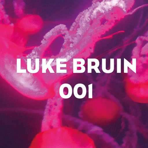 1 - Luke Bruin