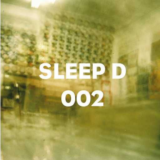 2 - Sleep D