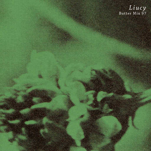 97 - Liucy