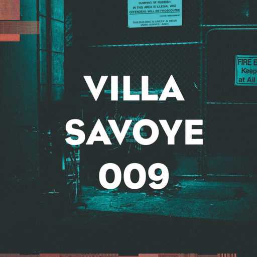 9 - Villa Savoye