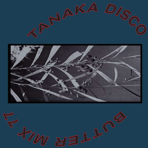 77 - Tanaka Disco