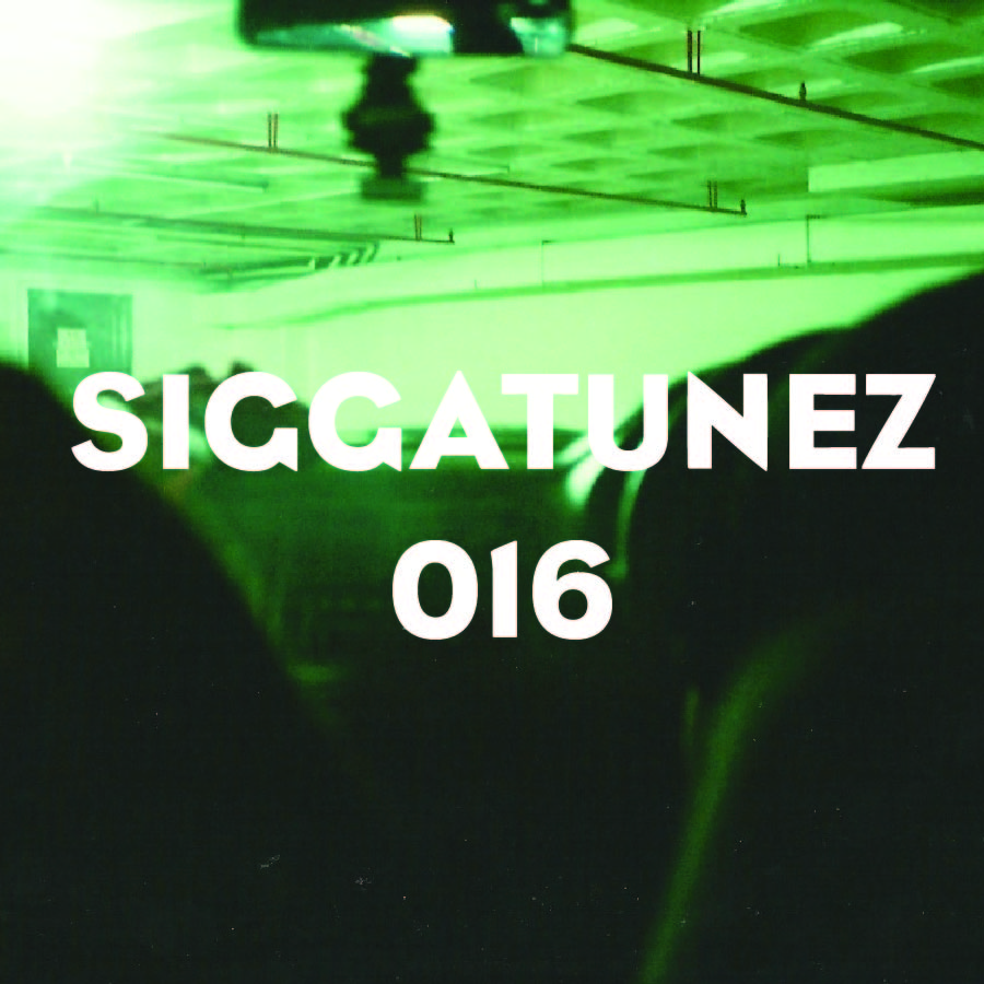16 - Siggatunez