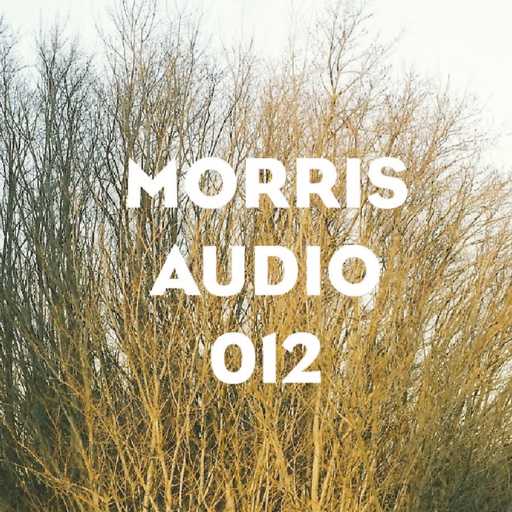 12 - Morris Audio