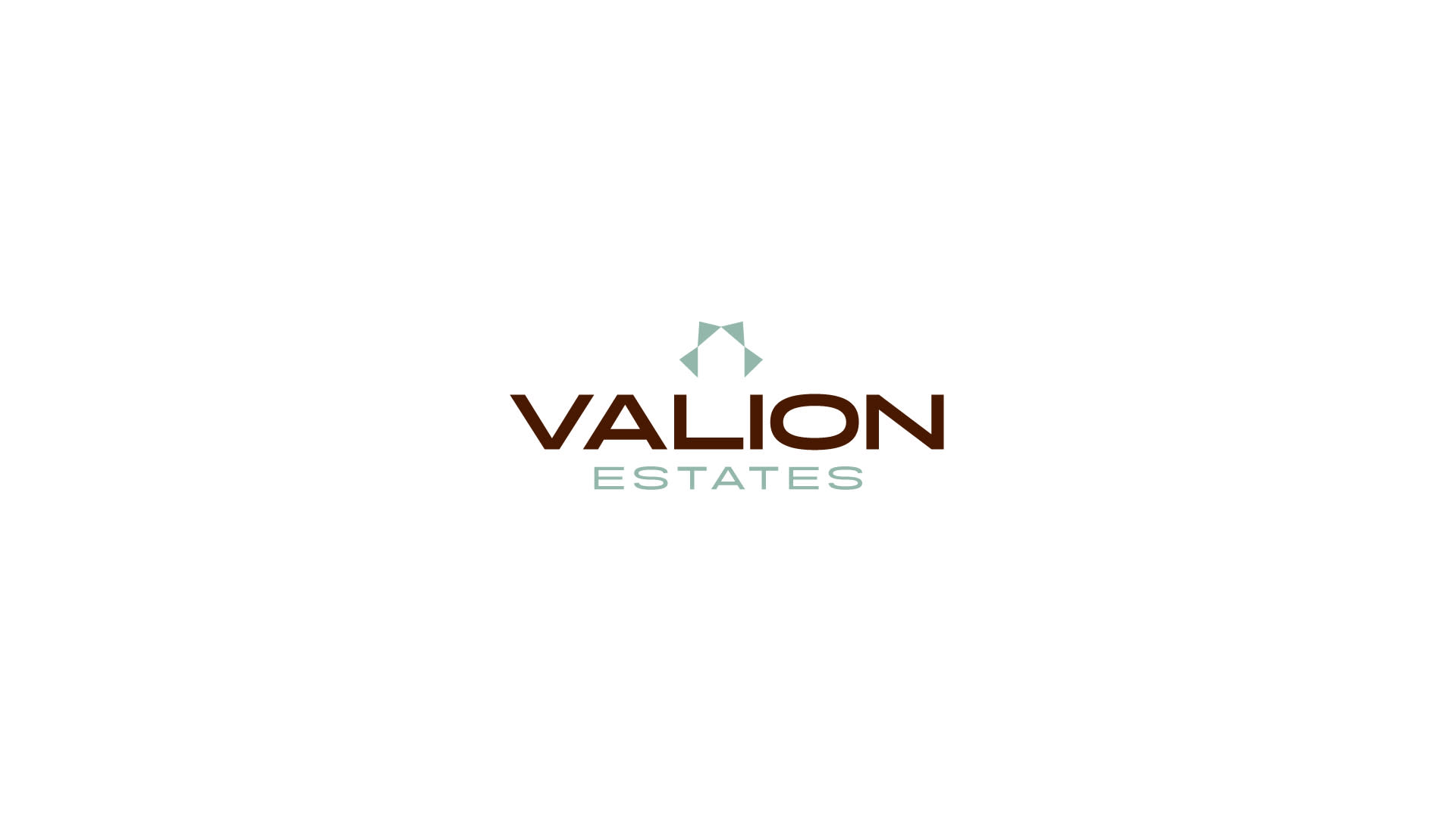 Gallery Image for valion-logomark-design-real-estate-ashmawy-branding-studio