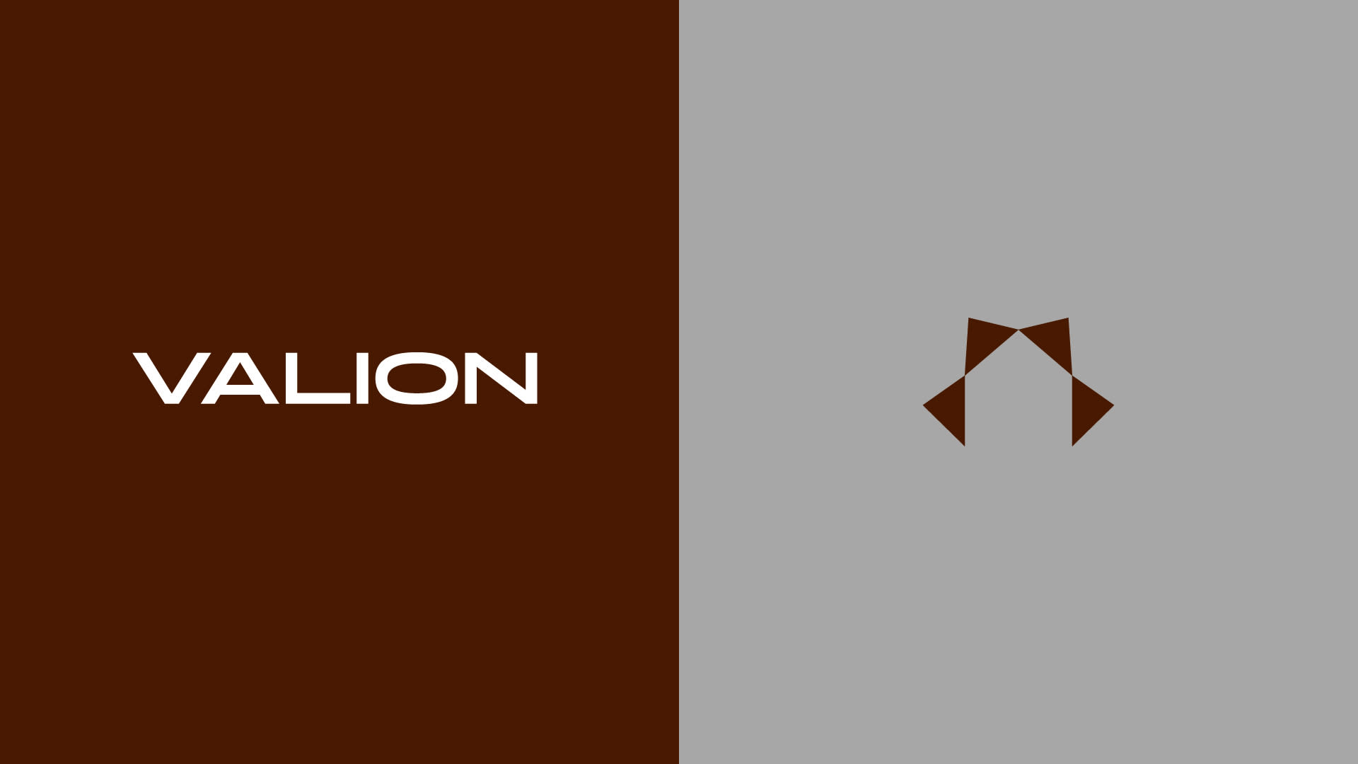 Gallery Image for valion-identity-logo-design-real-estate-ashmawy-branding-studio