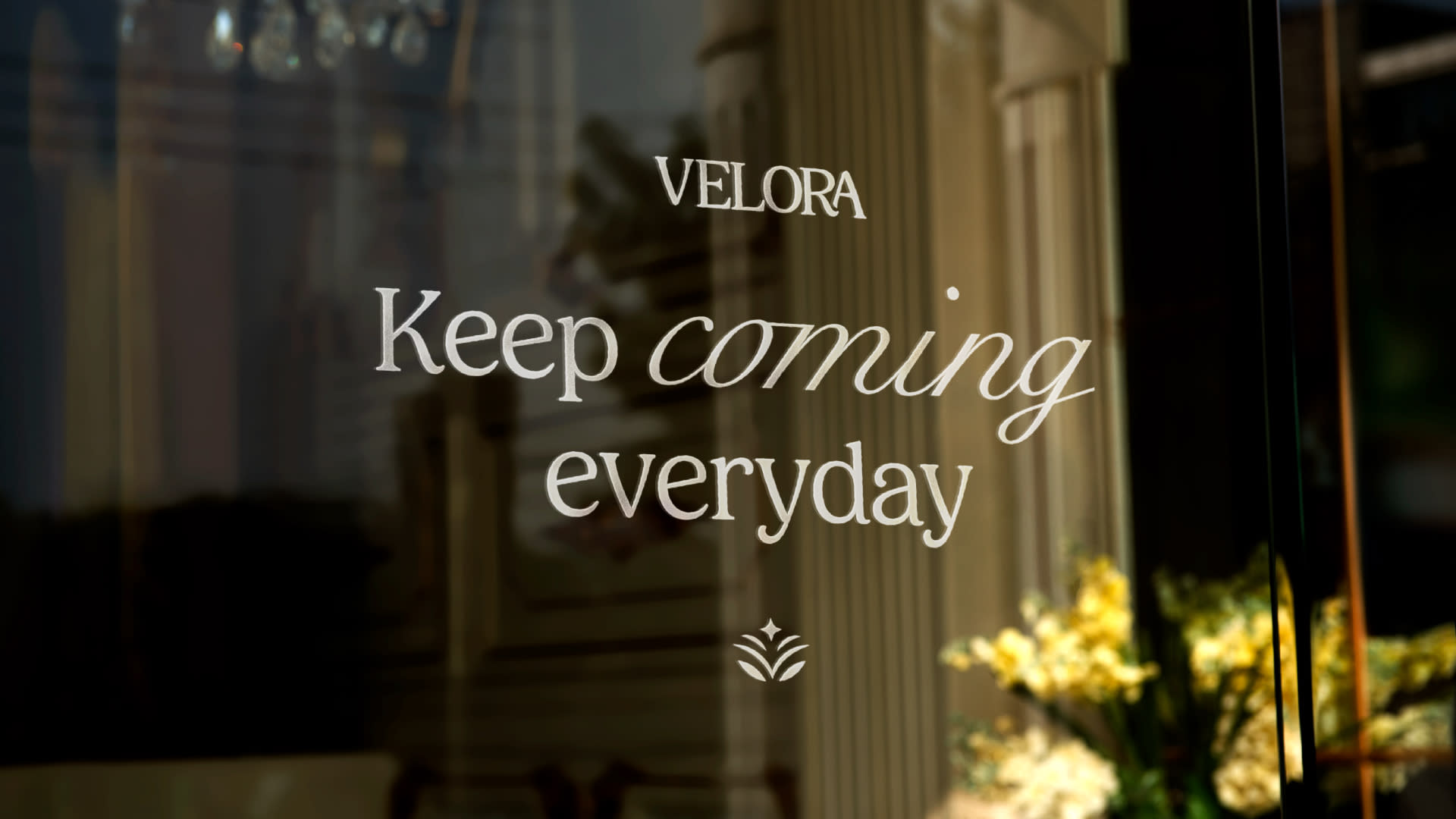 Gallery Image for velora-brand-identity-mockups-cafe-ashmawy-branding-studio