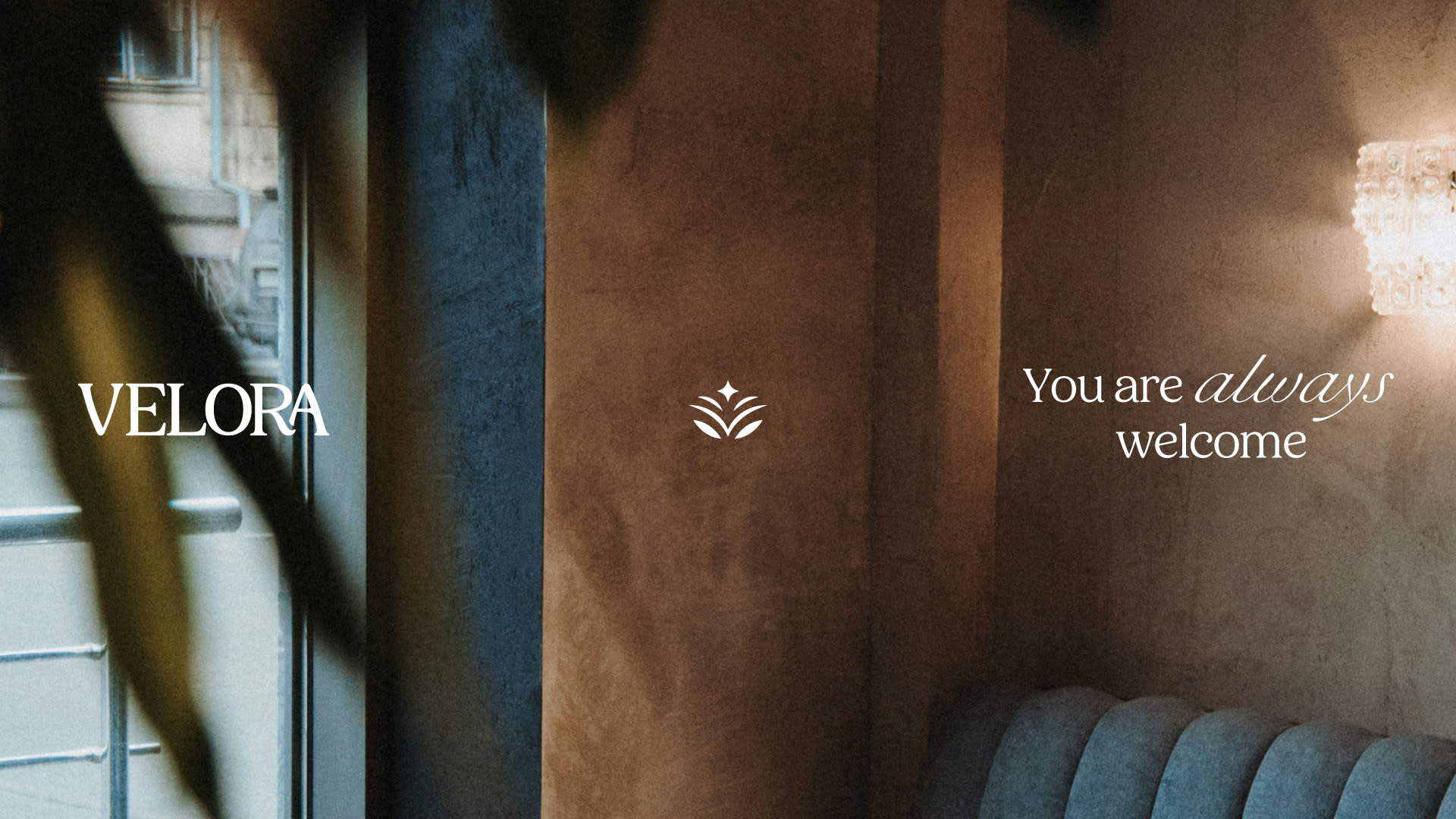 Gallery Image for velora-graphic-design-cafe-ashmawy-branding-studio