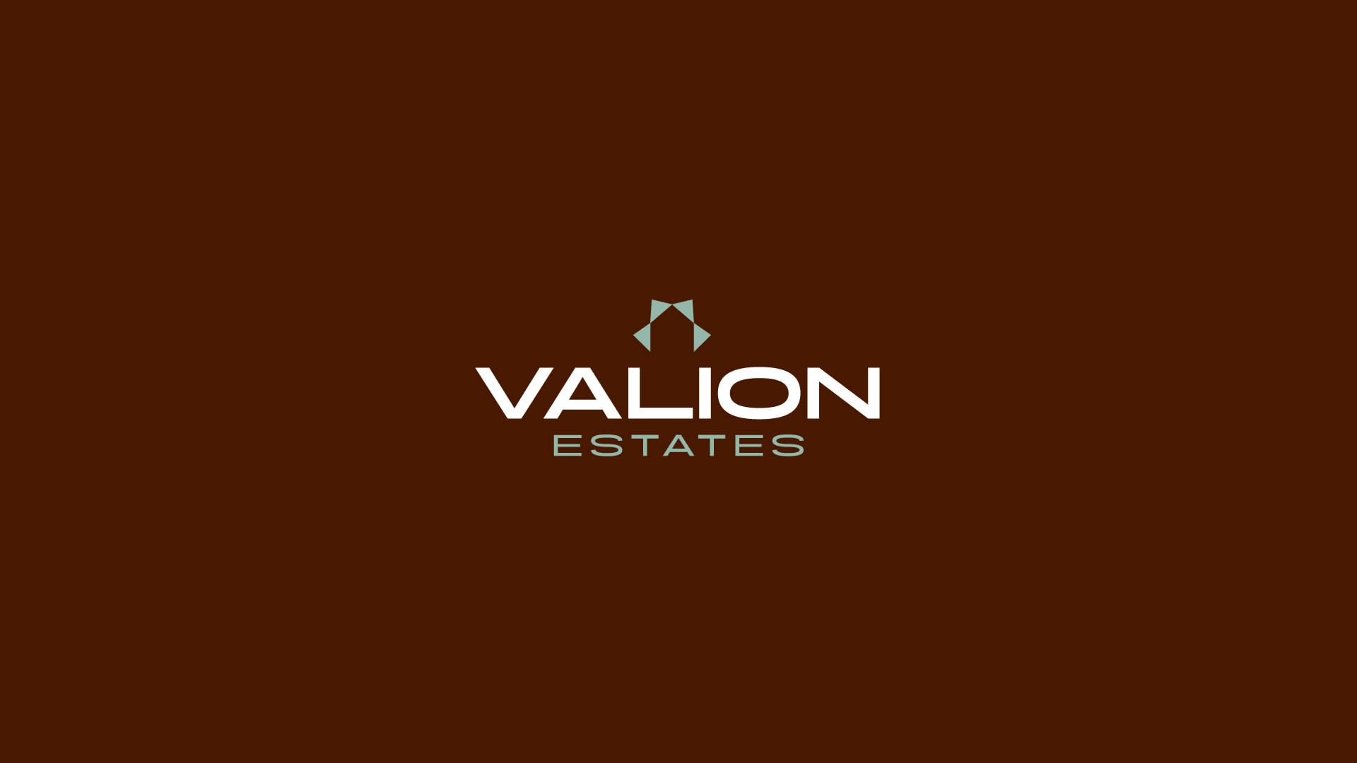 Gallery Image for Valion-logo-design-real-estate-ashmawy-branding-studio