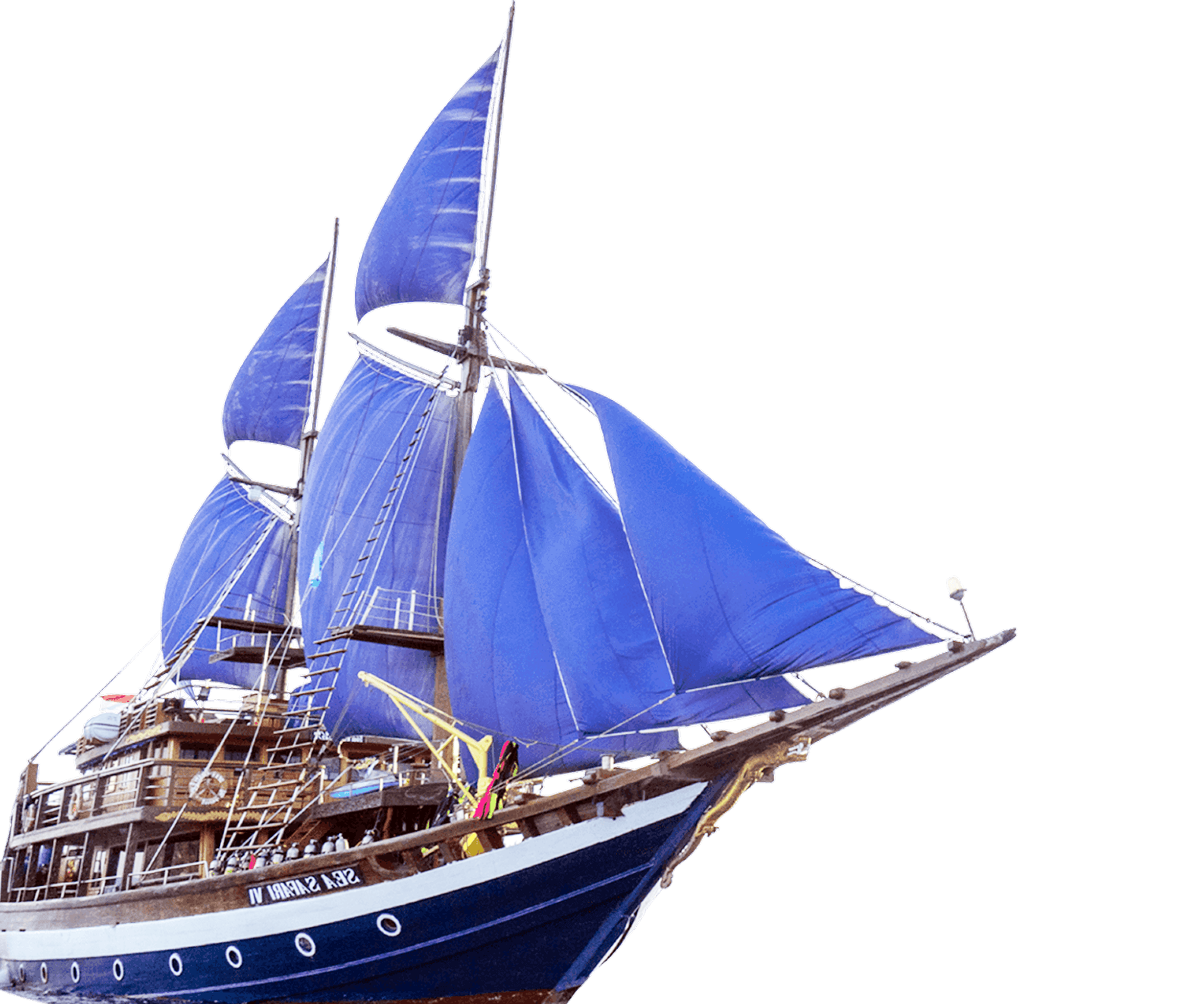 Sea Safari VI