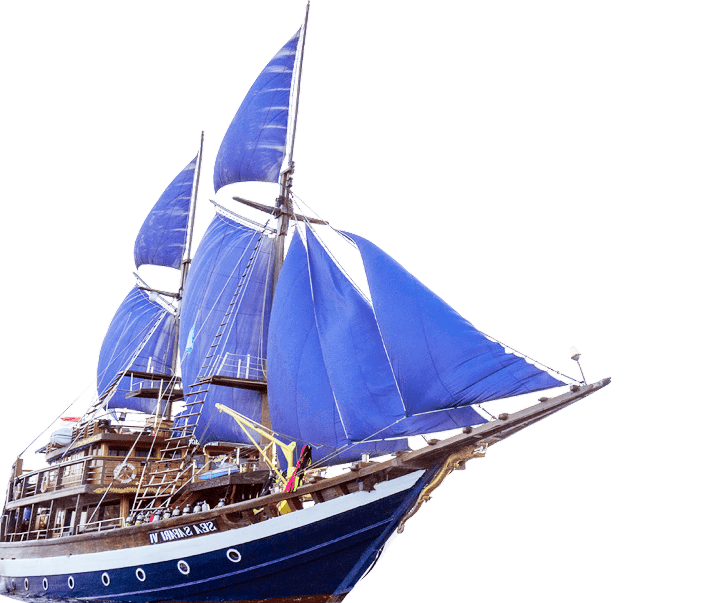 Sea Safari VI