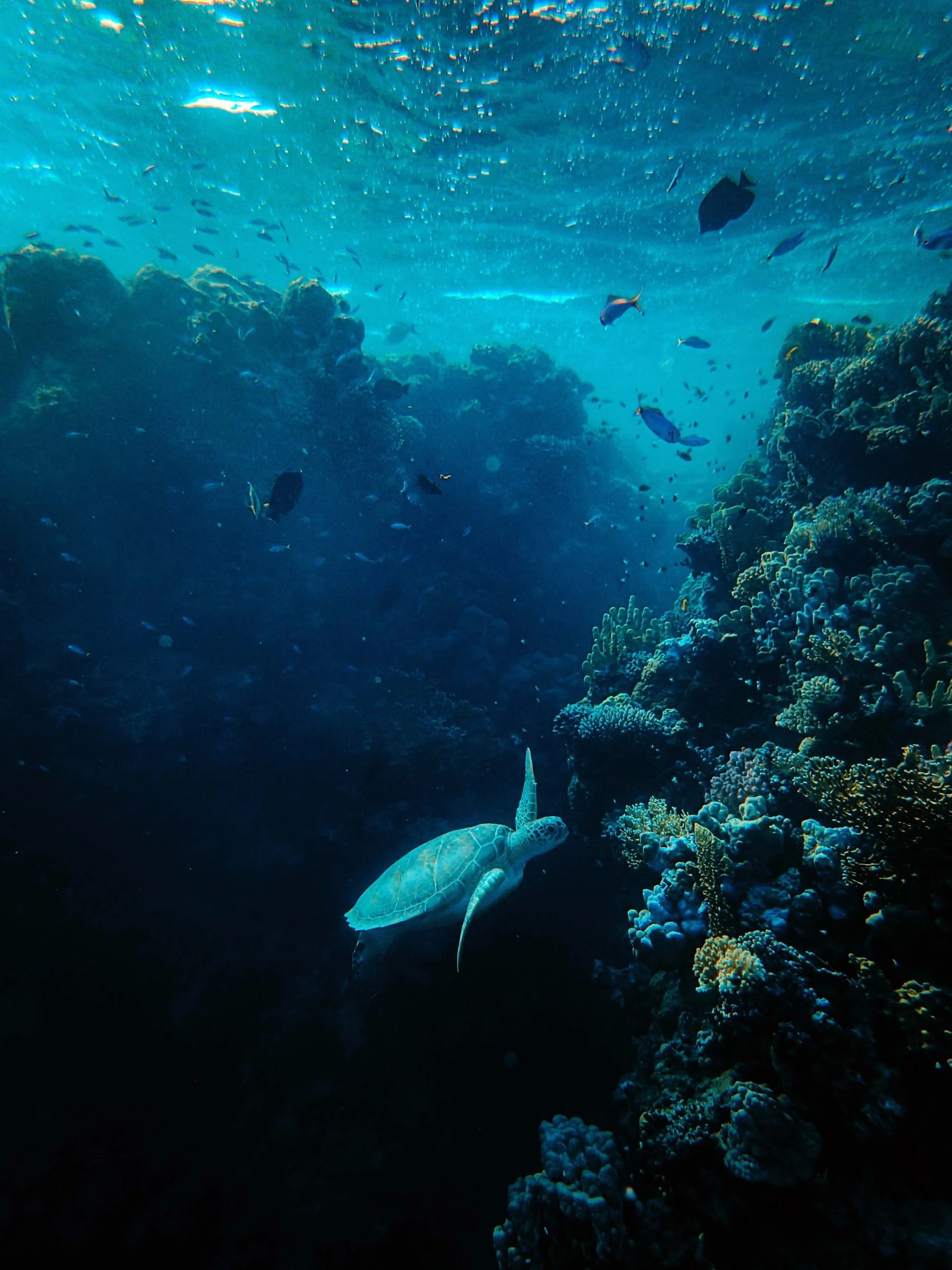 Sumbawa 4
