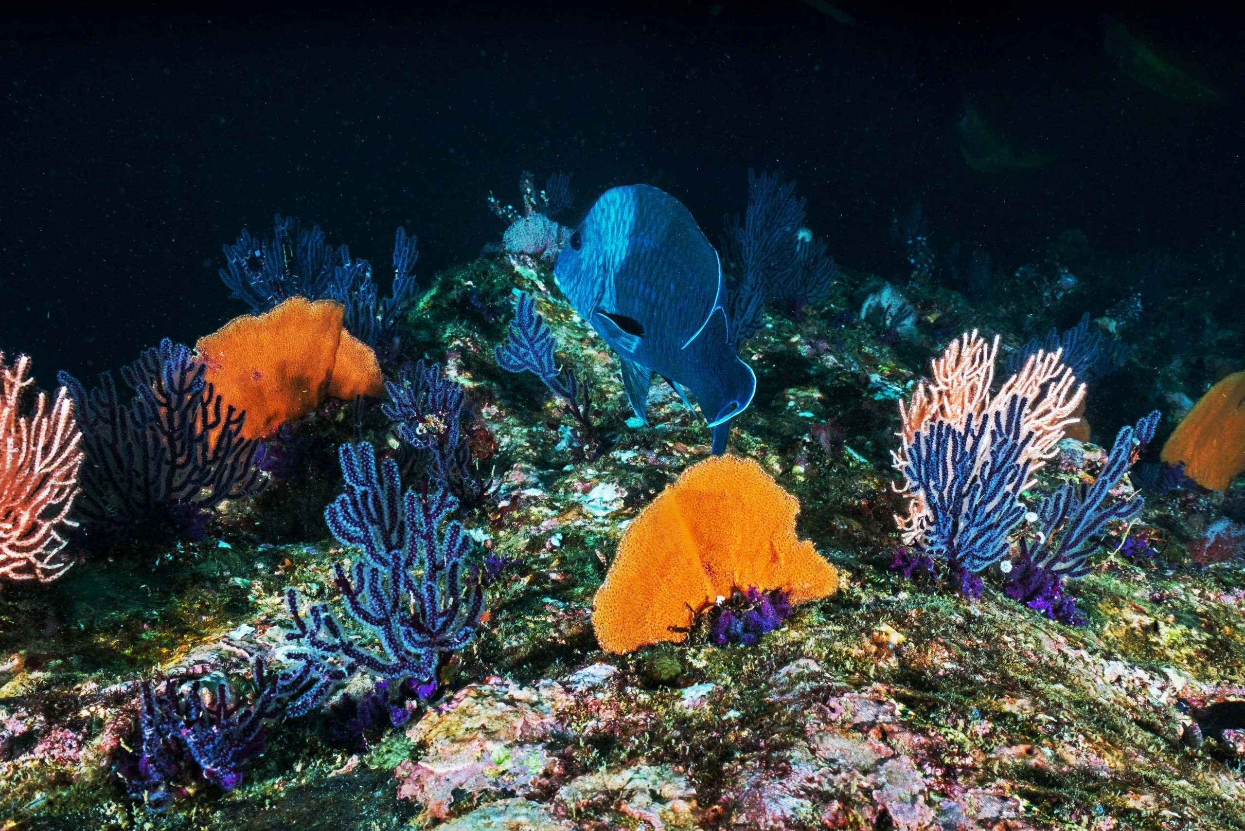 Sumbawa 5