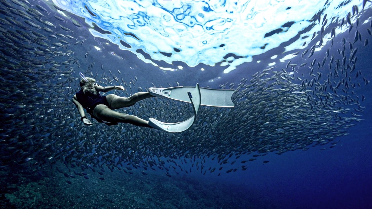  SOUTH HALMAHERA DIVING - 7 Days 6 Nights