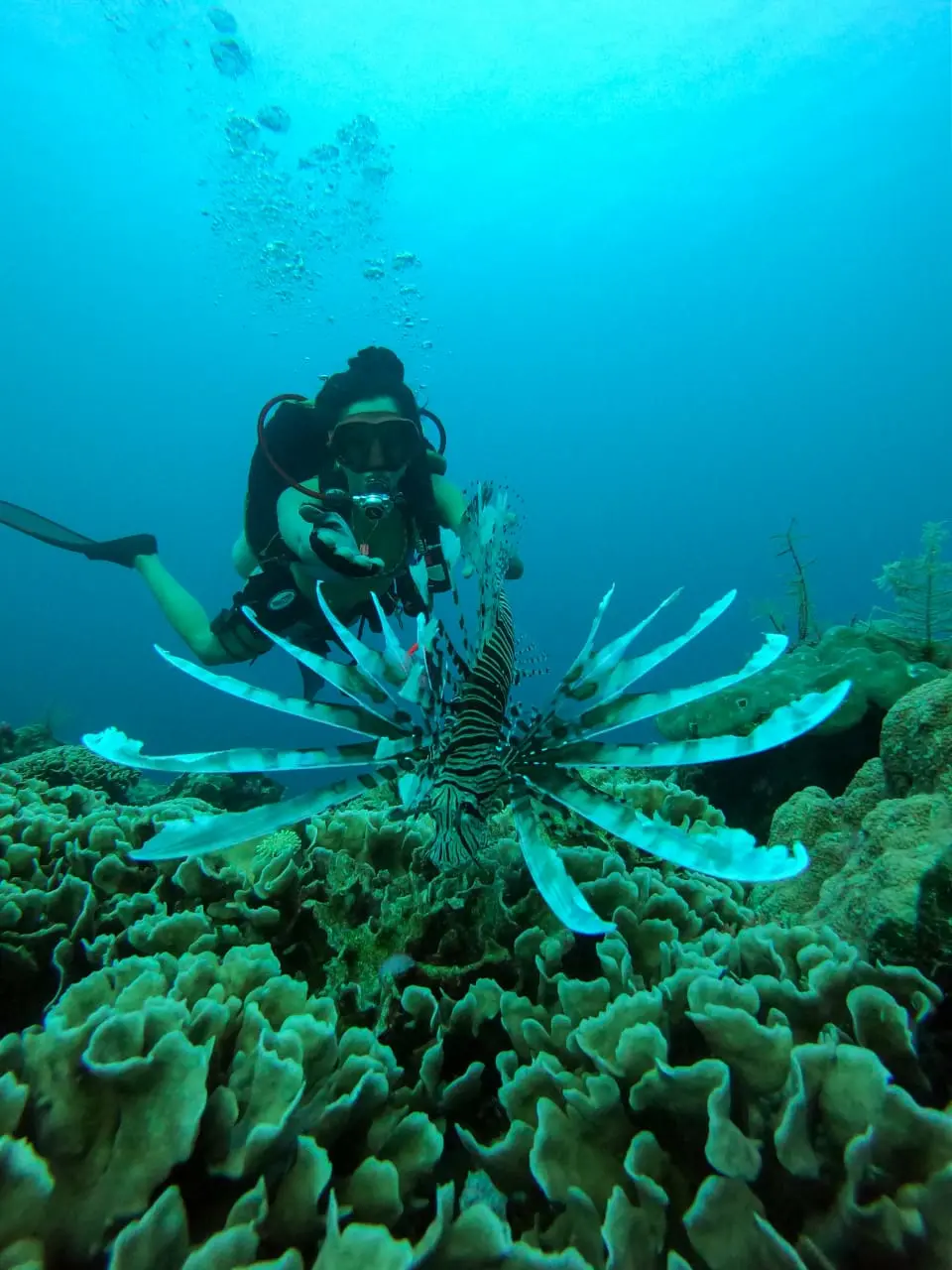 Wakatobi 2