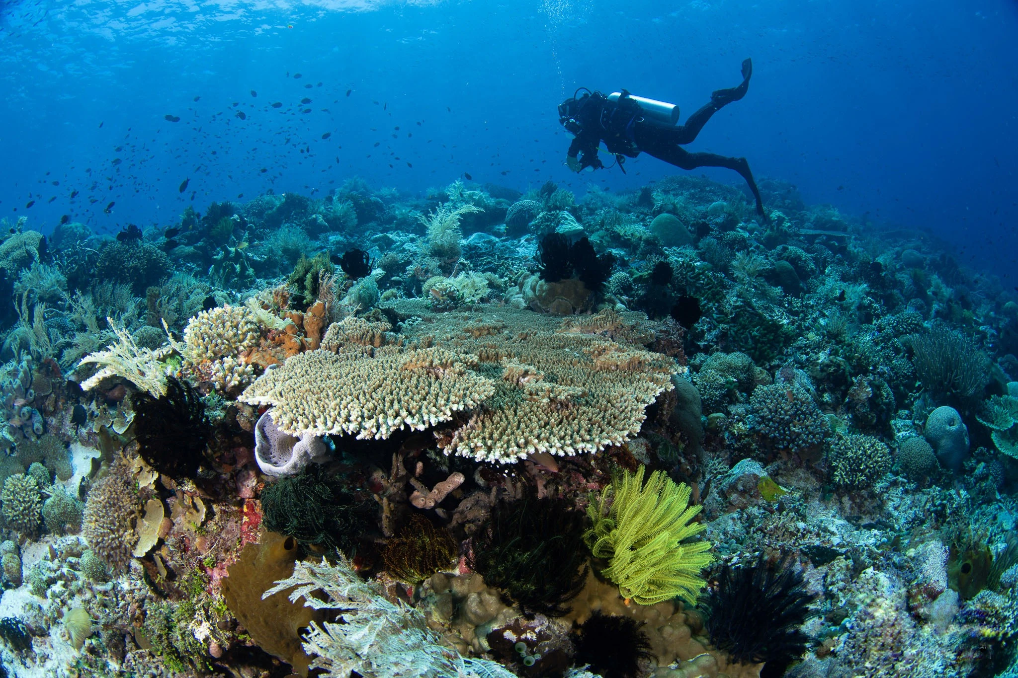 Sumbawa 6