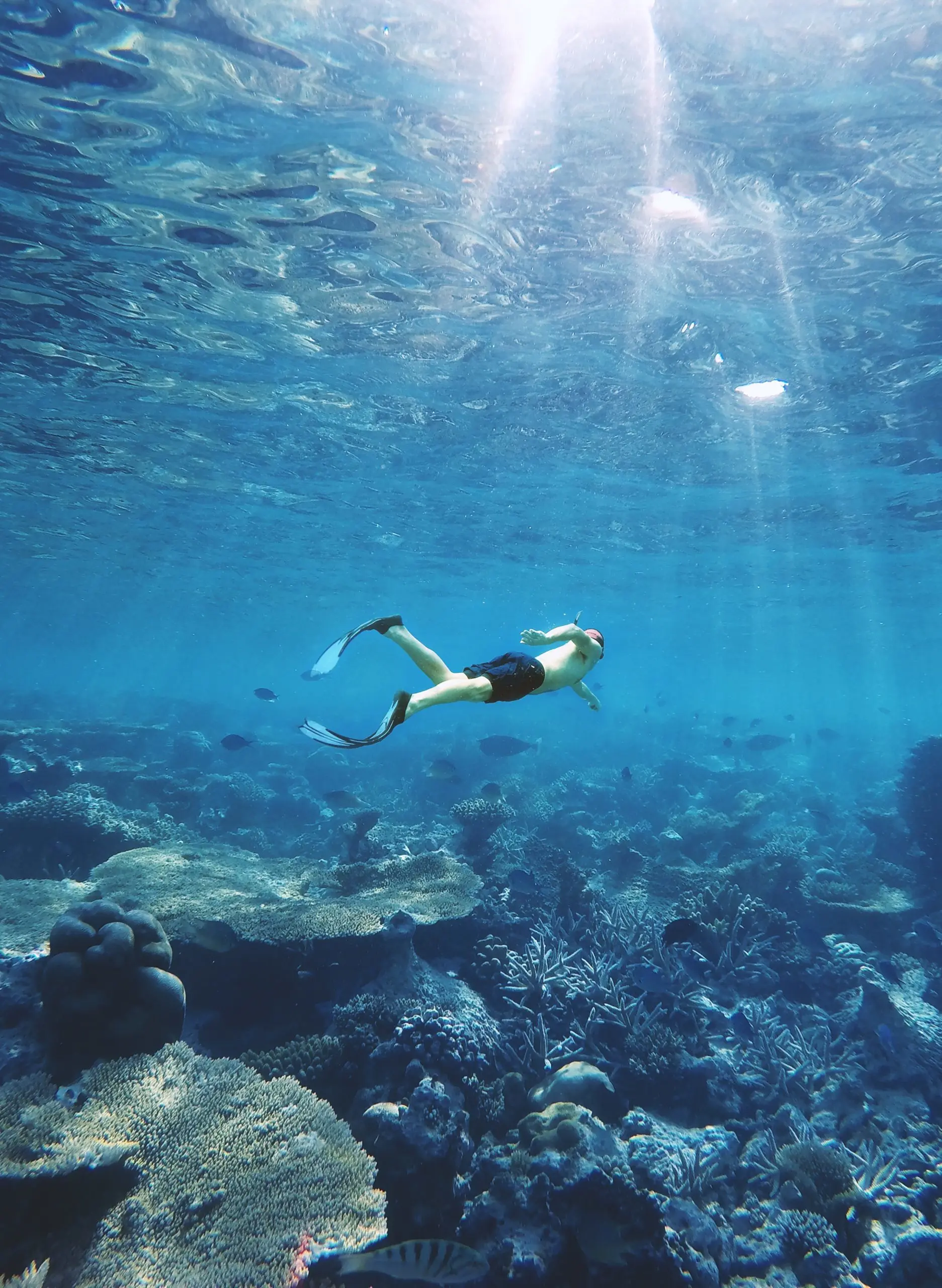 Wakatobi 4