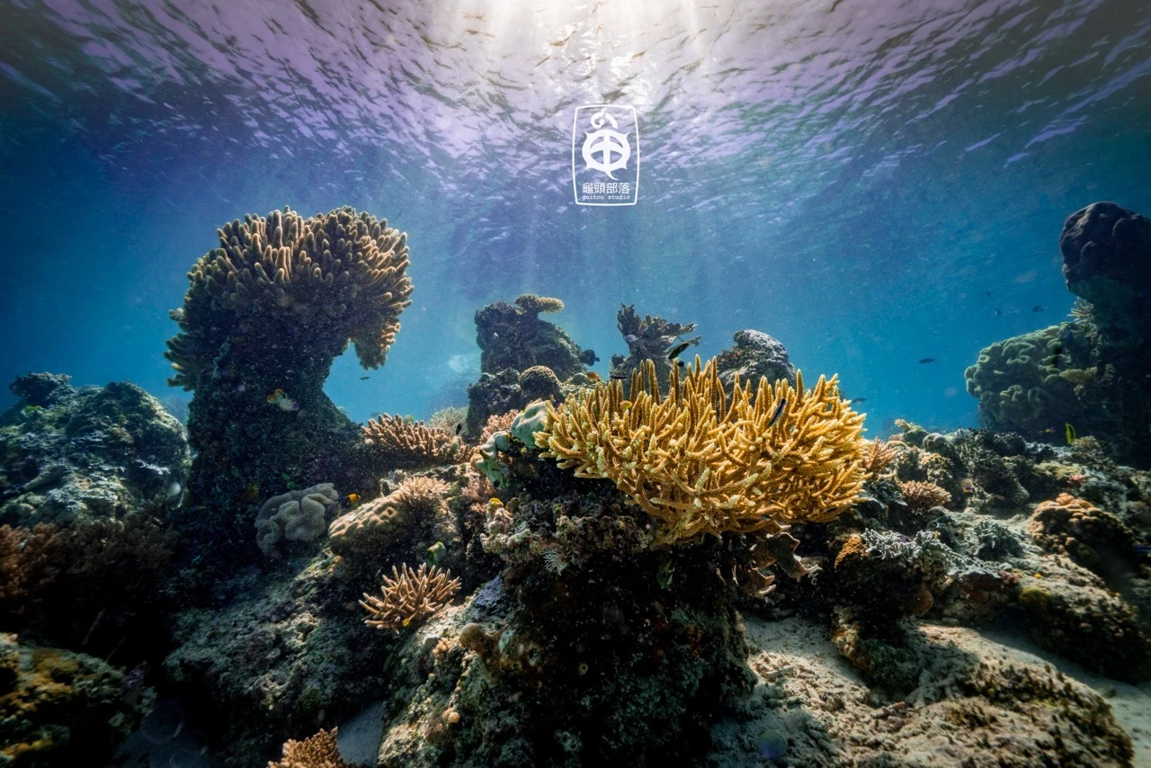 ambon5