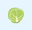 Brussels sprout icon