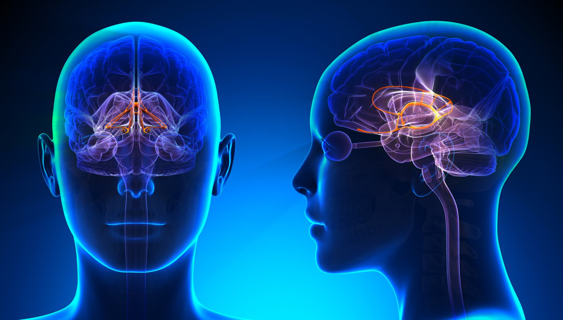 Brain Chemistry Testing and Analysis