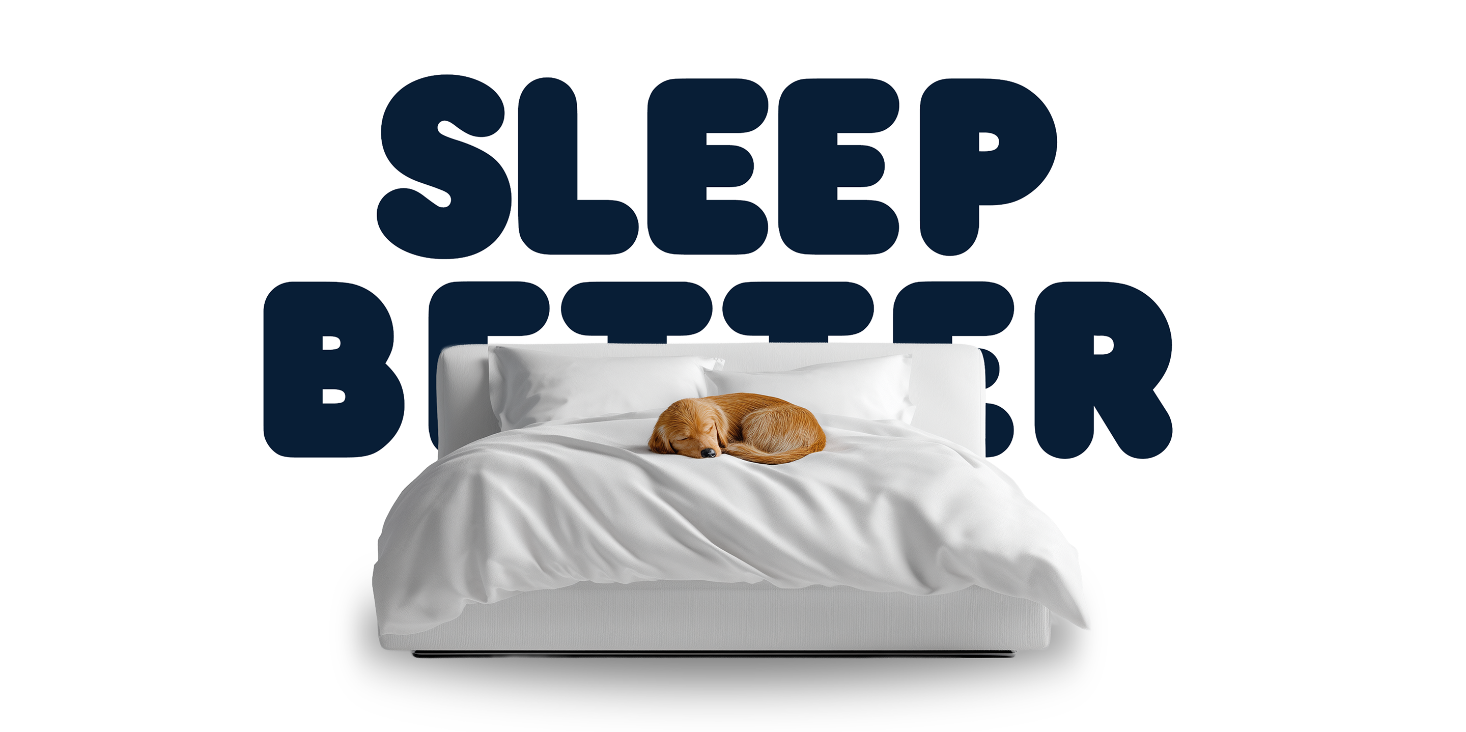 Dedicated team & specialized expertise to navigate online sales & compliance across 12+ marketplaces.