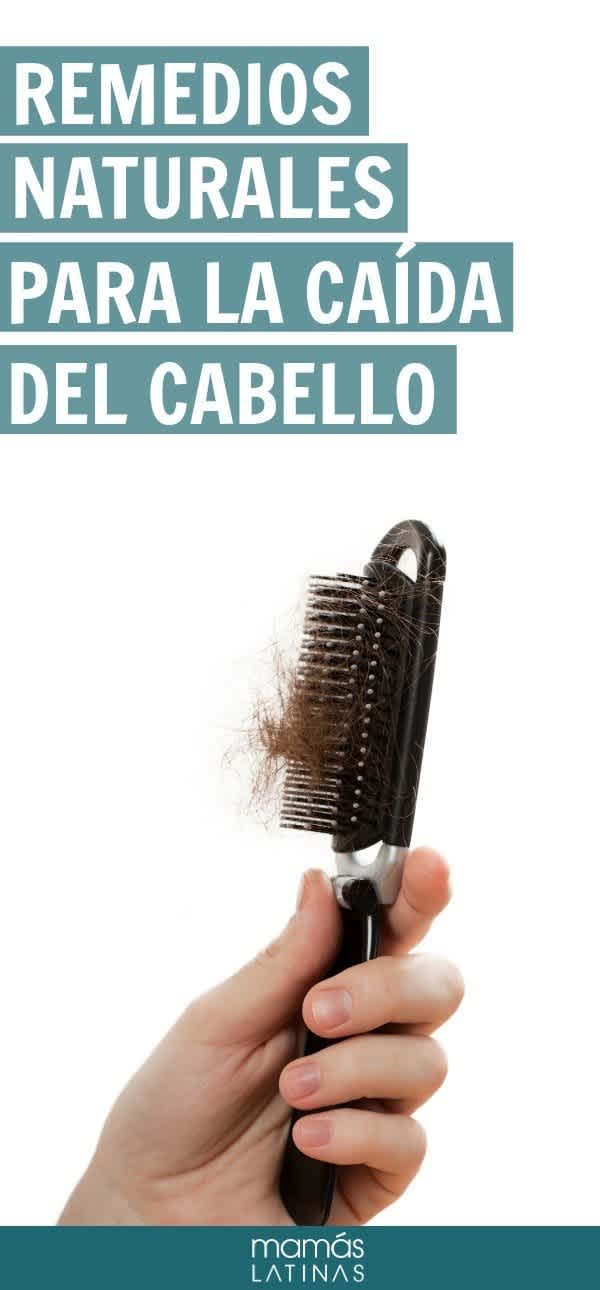 Remedios naturales para combatir la del cabello MamasLatinas.com