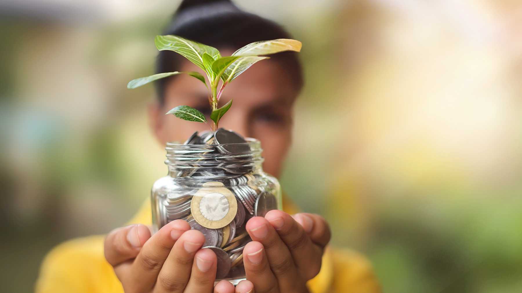 Rituales Con Plantas Para Atraer El Dinero Y El Amor Mamaslatinas Com