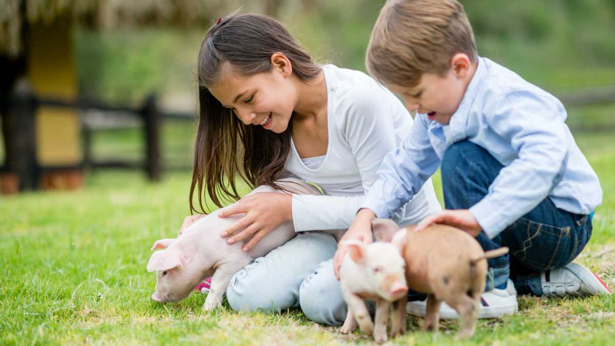 emprender Haciendo Viva Cómo enseñar a los niños a amar y respetar a los animales | MamasLatinas.com
