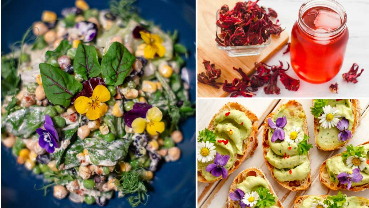 23 Edible flower recipes that are almost too pretty to eat – SheKnows