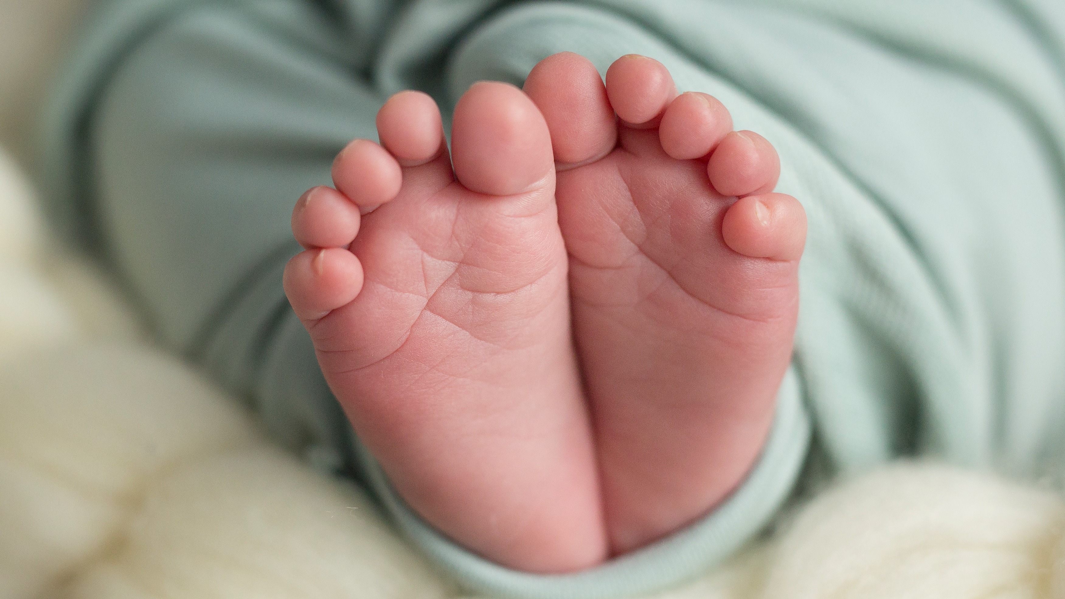 Adorable photos of babies dressed as burritos