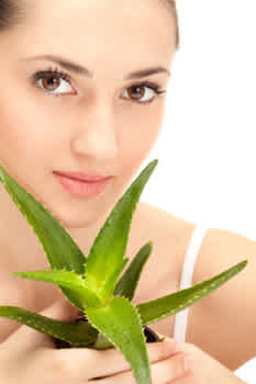 5 Secretos Del Aloe Vera Para Ponerle Fin A Los Problemas De Tu Piel Mamaslatinas Com 5 Secretos Del Aloe Vera Para Ponerle Fin A Los Problemas De Tu Piel Mamaslatinas Com