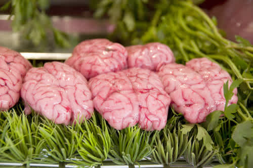 5 Recipes using animal brains that are offal-y yummy 
