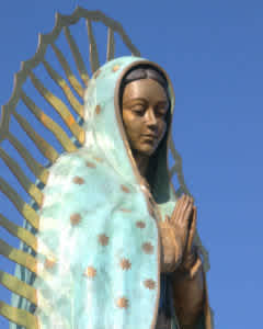 10 Things you don't know about La Virgen de Guadalupe 