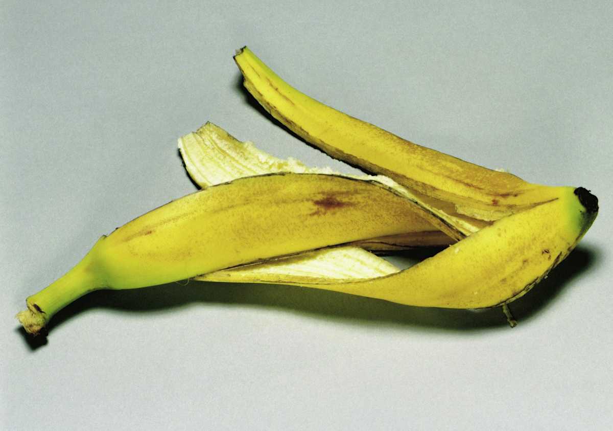12 Increíbles usos de la cáscara de plátano 12 Increíbles usos de la cáscara de plátano