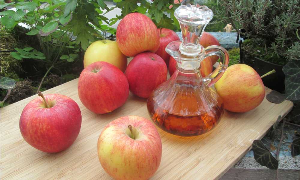 Bebida caliente de vinagre de manzana y miel para deshacerse del exceso de heces acumulado.