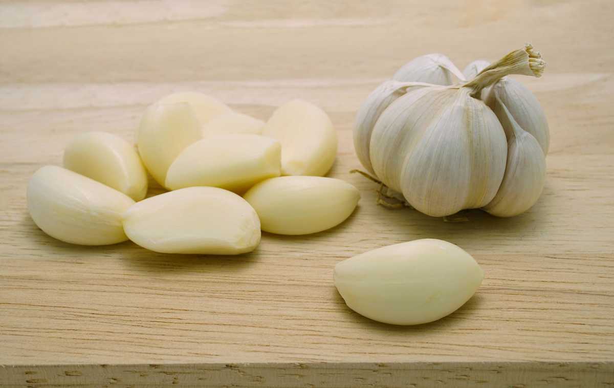 phjygvx0081.jpg?fm=jpg&fl=progressive&q=50&w=1200