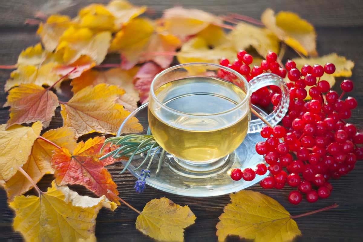 ph0l0k6log1.jpg?fm=jpg&fl=progressive&q=50&w=1200