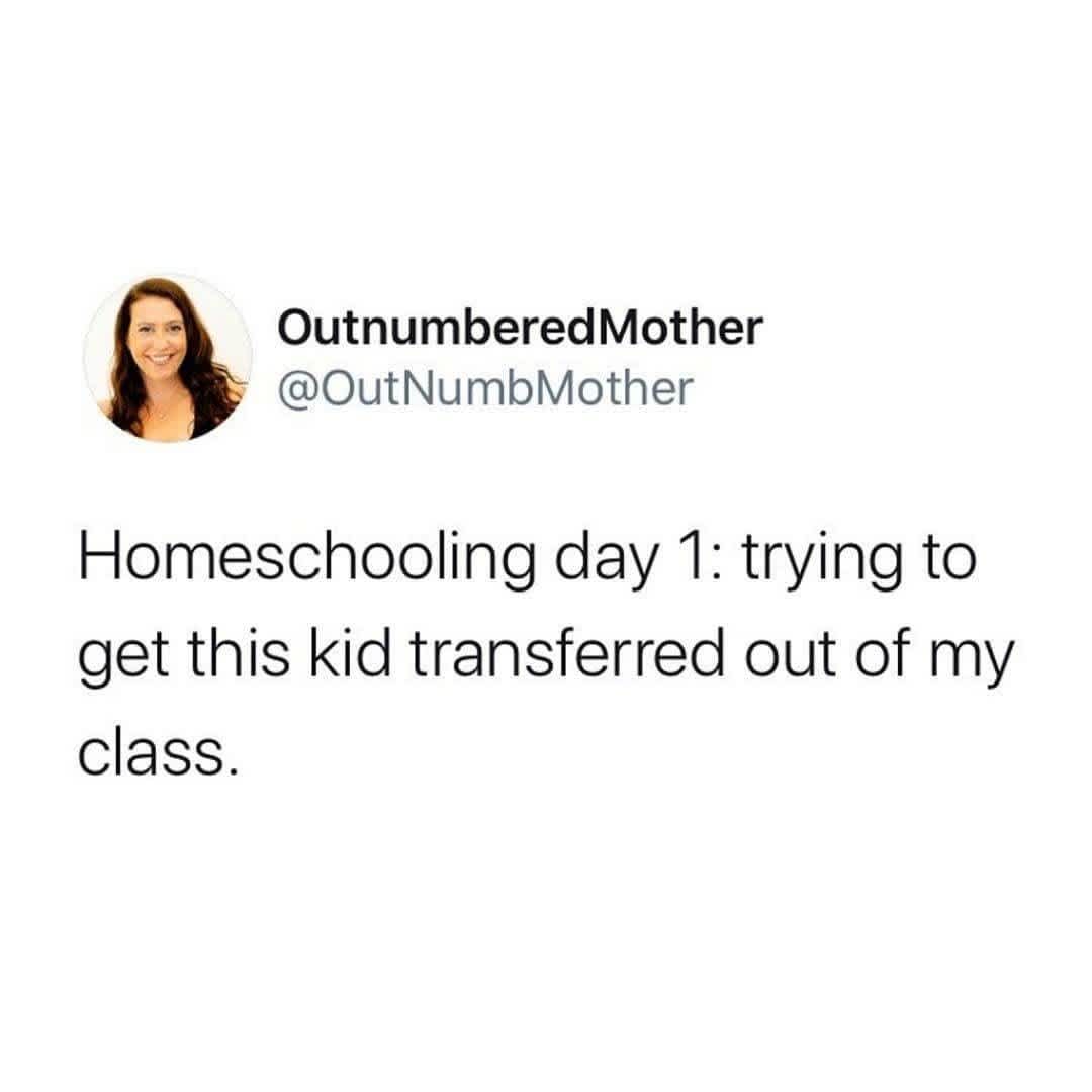 homeschool memes