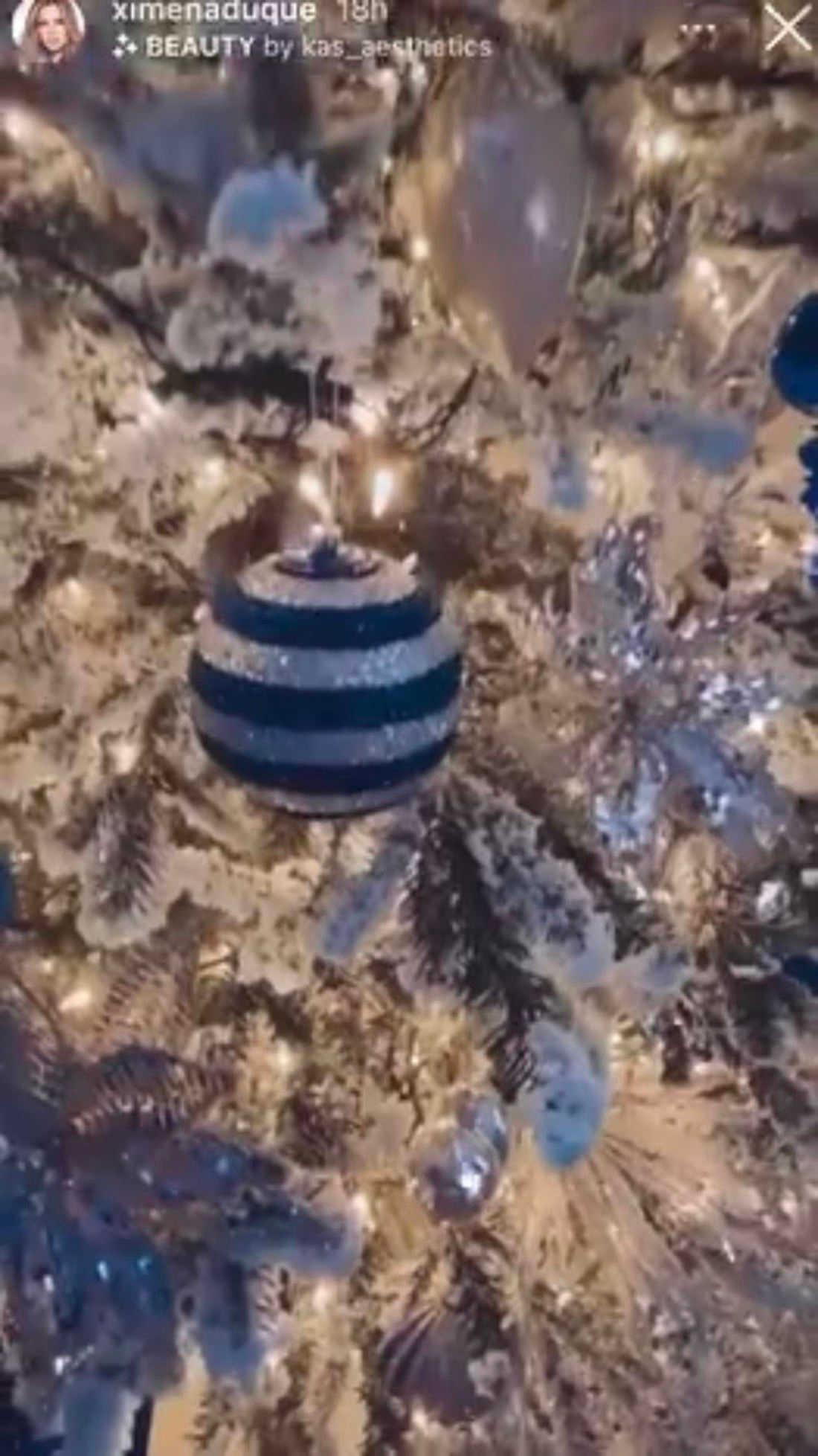 arbol de ximena duque