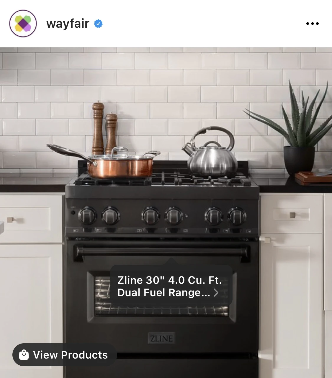 Wayfair Insta Post 2021