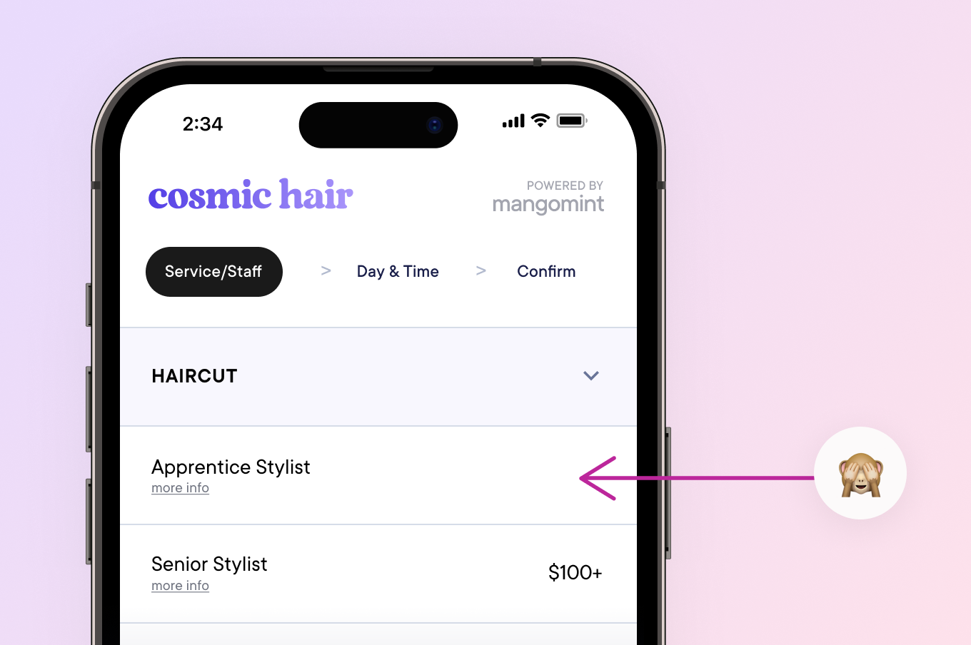 Hide prices for individual services in online booking 🫣