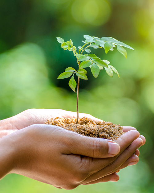 [MINUSL] Nachhaltigkeit - Der Umwelt zuliebe