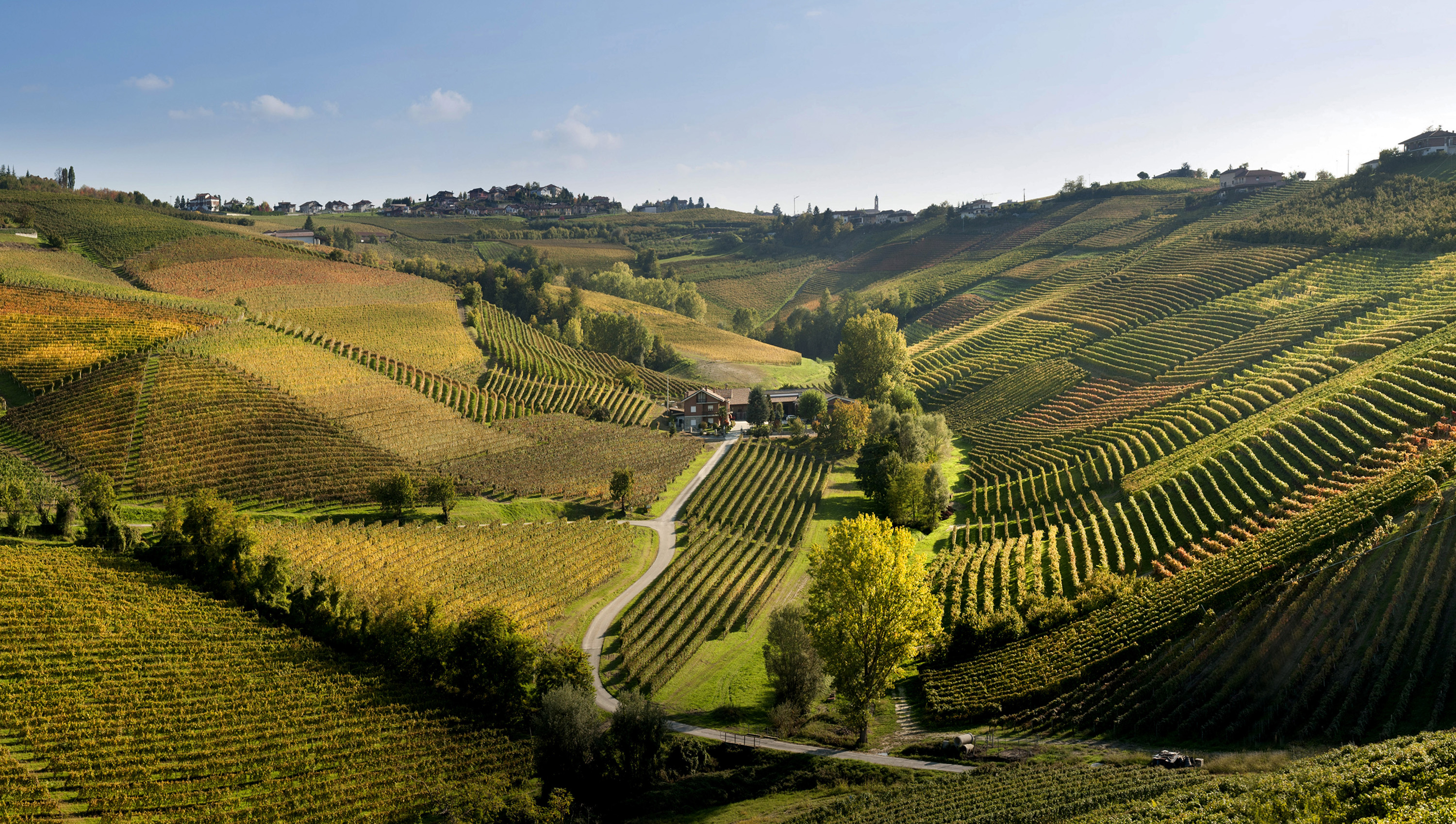Bild för artikel - Fem fantastiska vingårdar i Piemonte