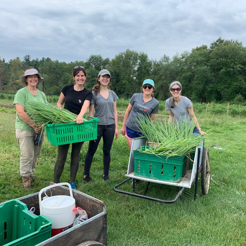 Group of people working in a green field