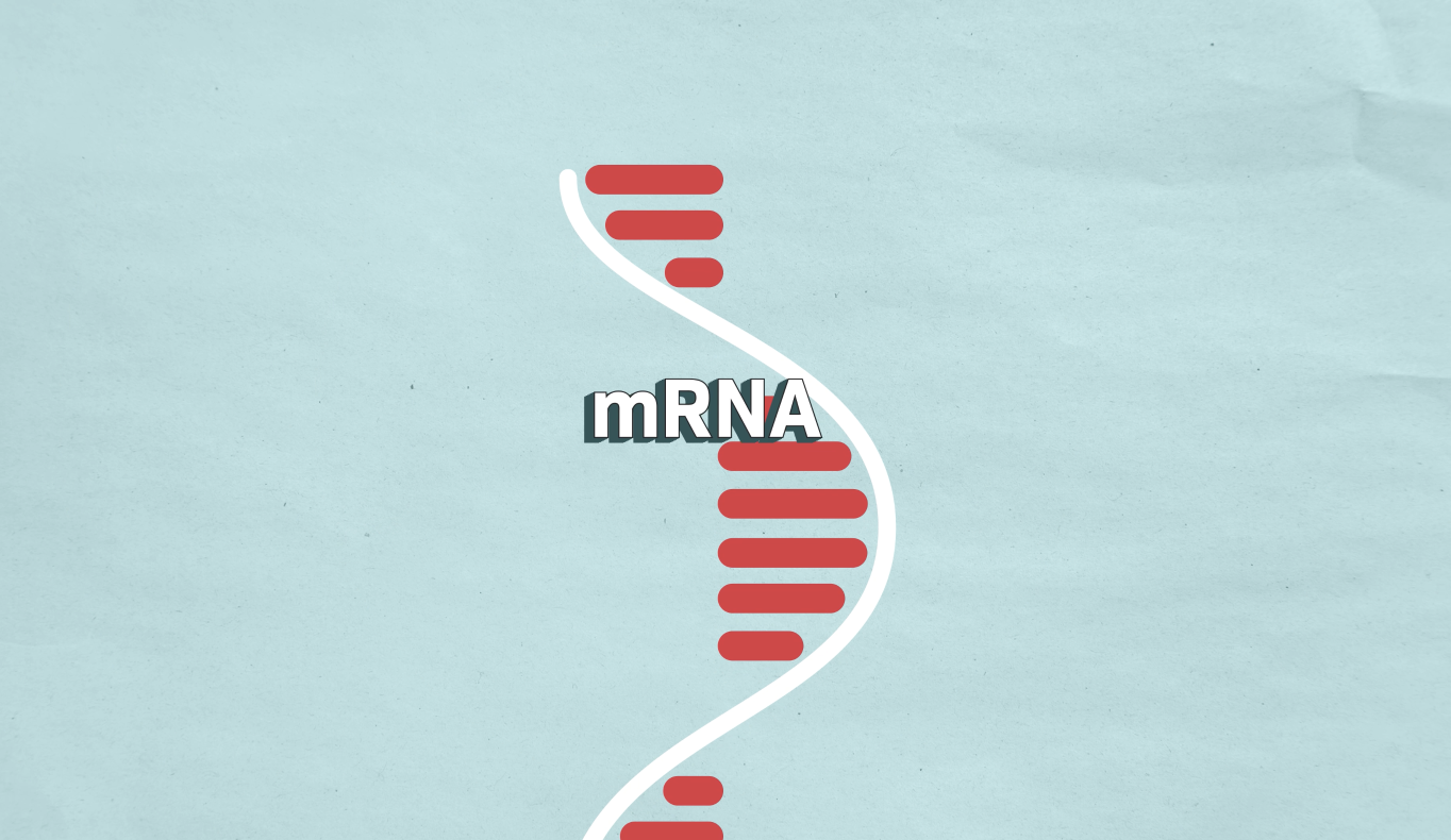 The Power of mRNA > About mRNA > Videos > mRNA has…