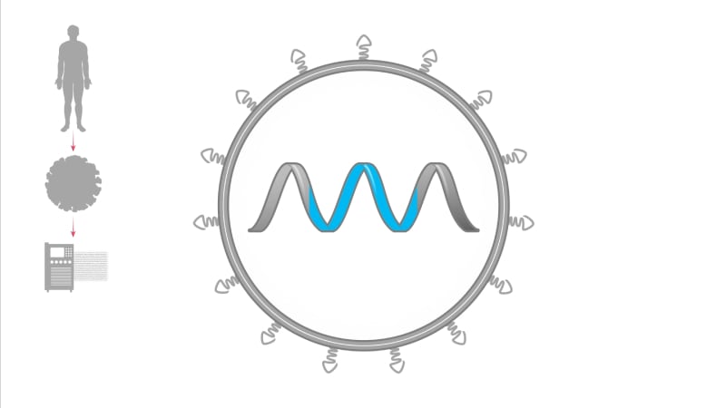 A short animated video describing the power of Moderna's mRNA platform.