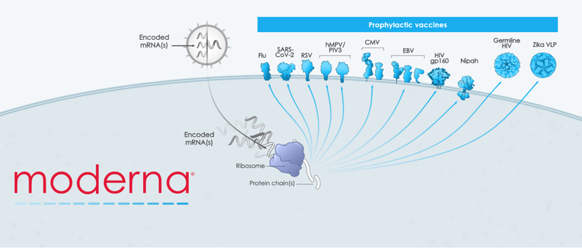 mRNA prophylactic vaccines pipeline