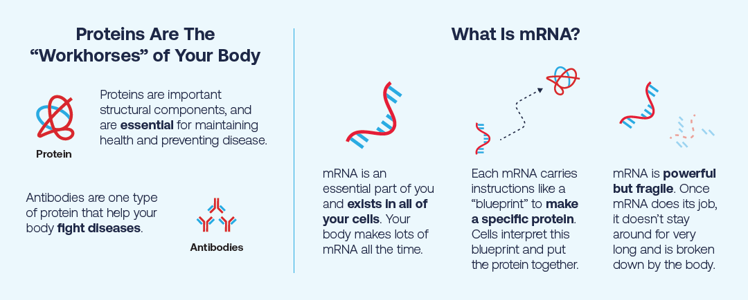 Infographic 1