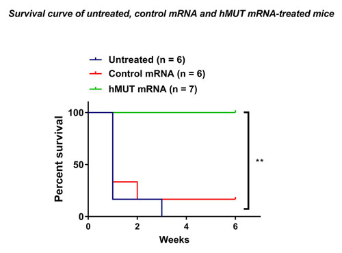 survival curve of untreated