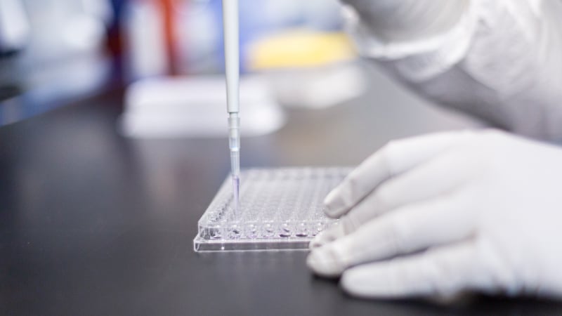 Preparing small tubes with the chemicals needed for a single PCR run.