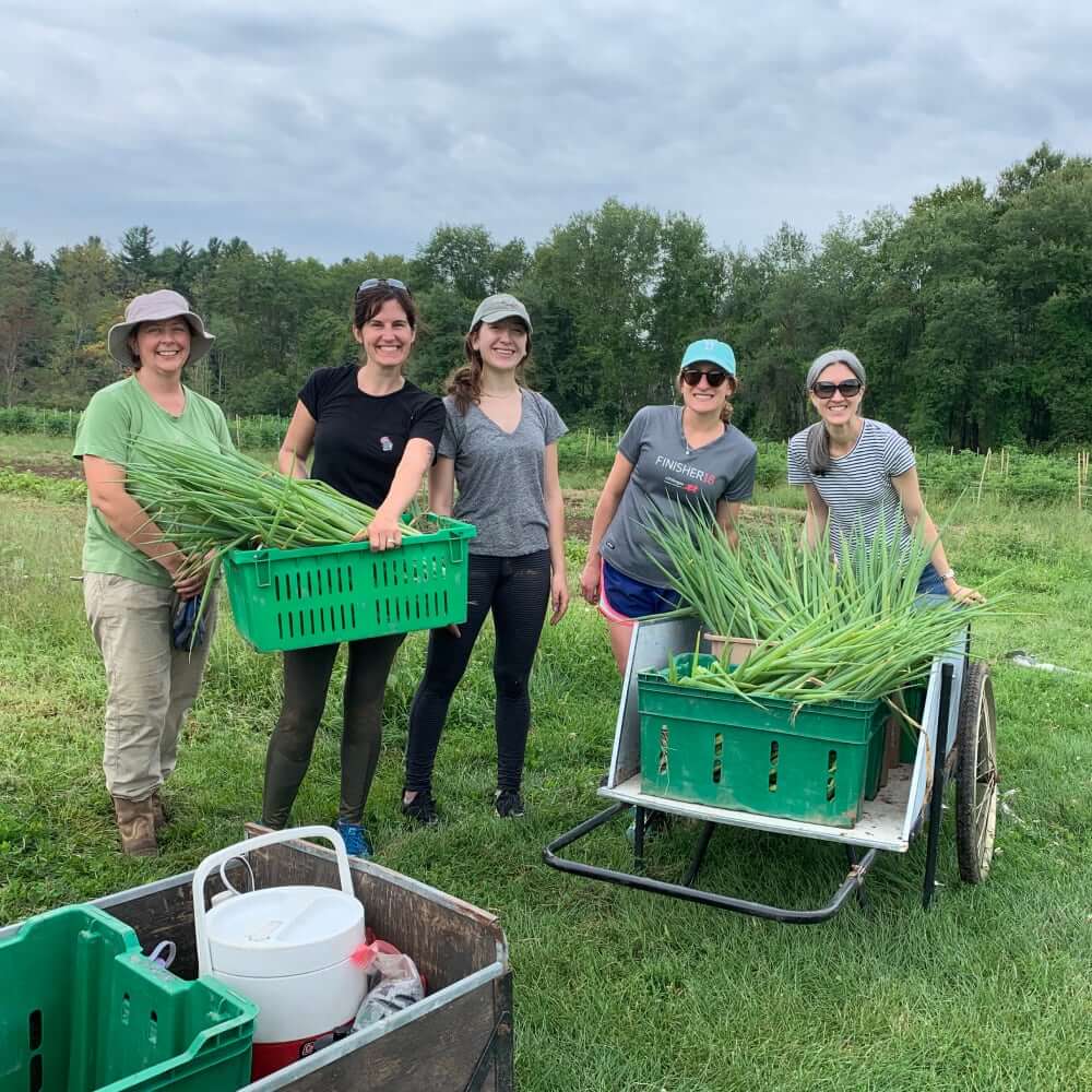 Group of people volunteering on farm